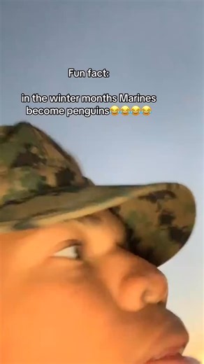 Echelon USA on Instagram: "Penguin formation. Classic. 🐧🔋 (TT | 1drillag | @1drillag )"