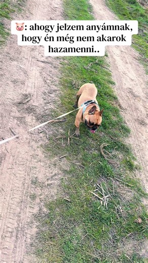 ✨•Anita•✨ (@danita.anita) videója, benne: eredeti hang - ✨•Anita•✨