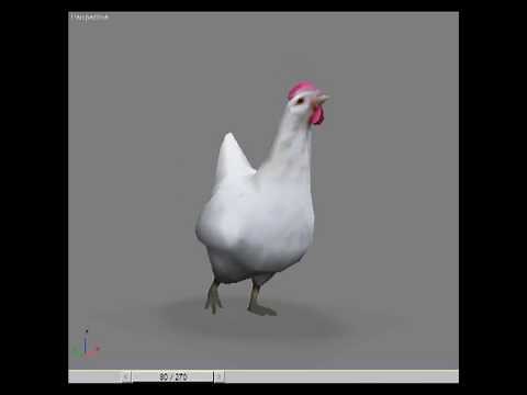 Animals animation