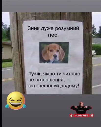 Буває 🤭 #жартиукраїнською #funny #ржакадосліз #україна