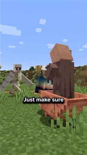Minecraft Items That Would Just Make Sense