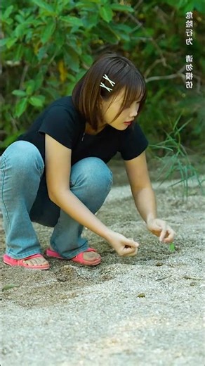 Sonia caught small snails and cooked a delicious recipe !