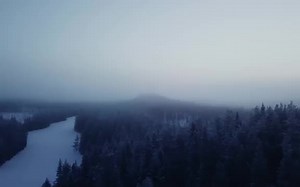 THE WOLF SONG - Nordic Lullaby - Vargsången