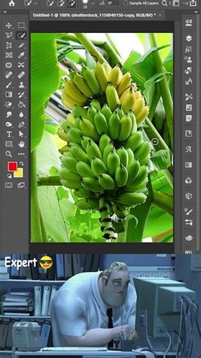 How to Change an Image Color in Photoshop
