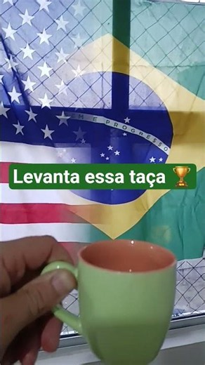 levanta essa taça 🏆 Brasil!