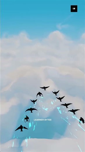 The Real Reason Birds Fly in a V-Shape During Migration #learnerbytes