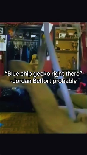 Freaky Gecko Pole Dancing 🫡🦎💈 #shorts #gecko