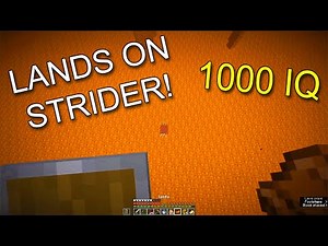 Dream Insane Plays (1000 IQ)