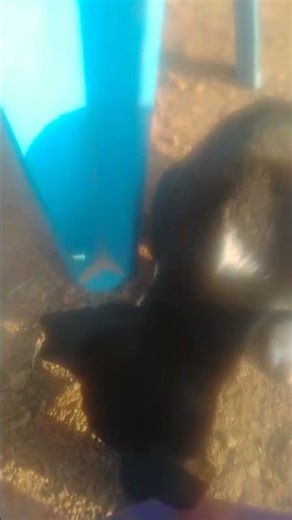 9 เมษายน ค.ศ. 2026