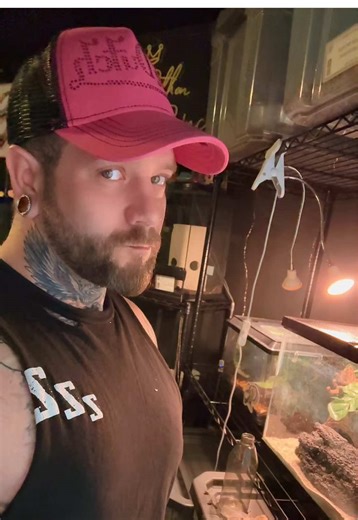 And on today’s episode of life with lizards… lol. #funny #cute #pet #animals #love