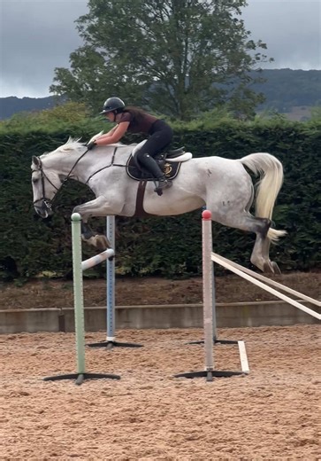 Capybara Training Tips for Summer