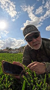 Looking for a plan, program, or calendar on what to put down on your lawn this season? Download the Yard Mastery app! | Yard Mastery