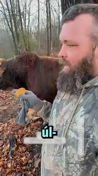 This Farmer Had a Rough Time with This Bull