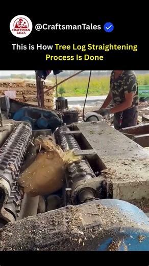 This is How Tree Log Straightening Process Is Done - Good Tools Makes Works Easy