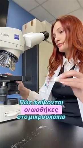 #labtalks #lab #microscope