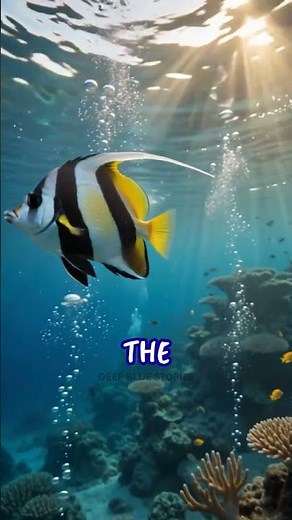 This Might Be the Most Beautiful Fish in the Ocean! 😍🐠