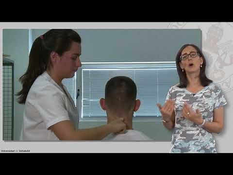 37. TEST DEL LIGAMENTO TRANSVERSO