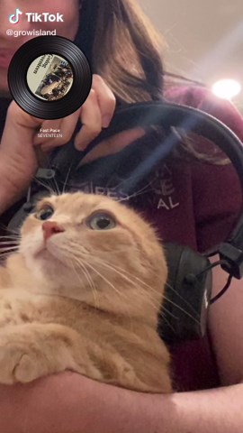 Understanding Seventeen's Impact on K-pop Culture