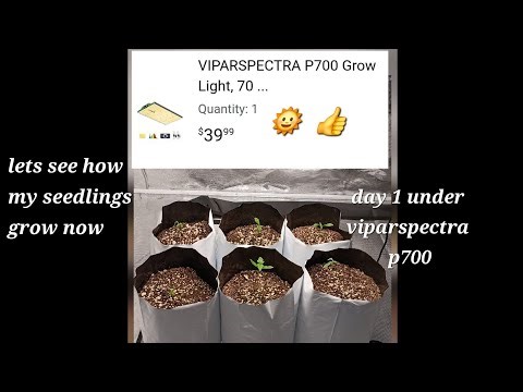 Unboxing a Viparspectra p700 First impression #unboxing #review