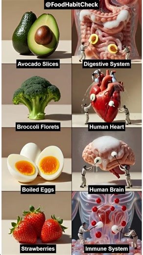 Food is Medicine: What Is the Importance of Balanced Diet #foodasmedicine