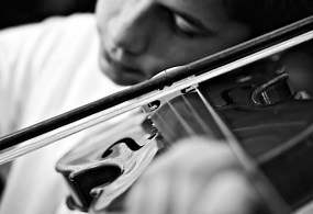 Everything You Need To Know About the Violin Bow