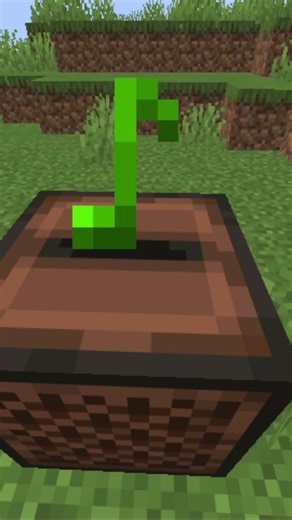 Minecraft’s Scariest Secret: Decoding Disc 11! 🌑