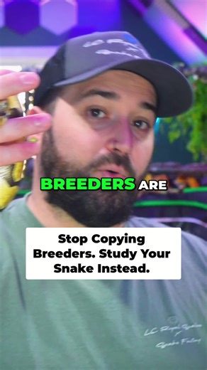 Stop copying breeders! You can be a better keeper by studying YOUR snake's behavior and optimizing its environment. Observe patterns, feeding responses, and stress cues to level up. #SnakeCare #ReptileKeeper #PetSnake #ExoticPets #AnimalBehavior