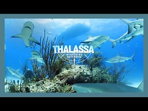 THALASSA, new collection!