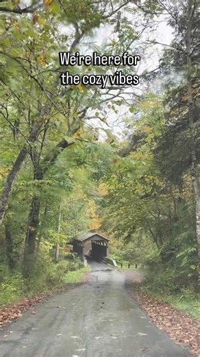 2K views · 26 reactions | While we love wild adventures, we like the mild ones too. It's time to enjoy quiet walks while watching leaves fall, misty mountain landscapes, and crisp, golden days. Fall is the perfect time to escape to a place where you can truly unwind and savor the beauty of the season. Plan your fall getaway at Visitwv.com. Peak colors coming soon! #visitwv | Visit Southern West Virginia | Facebook