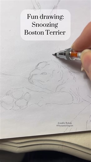Dynamic Dog Art | Sketching a Boston Terrier, snoozing, relaxed and content #artvideo #dogart #drawing #sketching #dogdrawing | Instagram
