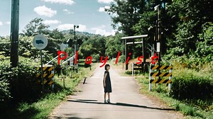 【playlist】6月歌单抢救计划！一键切换暑假模式