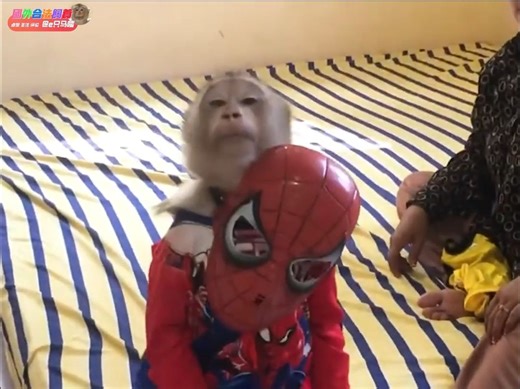 好酷的吗喽！spyder-jason，蜘蛛侠全套