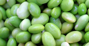 ¿Por qué es bueno comer edamames?