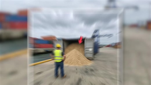 Dock Worker Found Container Filled With Sand, What Was Buried Beneath Will Shock You! #tiktok #storytellingsocity #fyp #unitedstates #story
