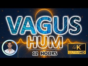 Calming Vagus Nerve Sleep Hum | Deep Nervous System Relaxation Tones for Rapid Sleep | 12 Hours