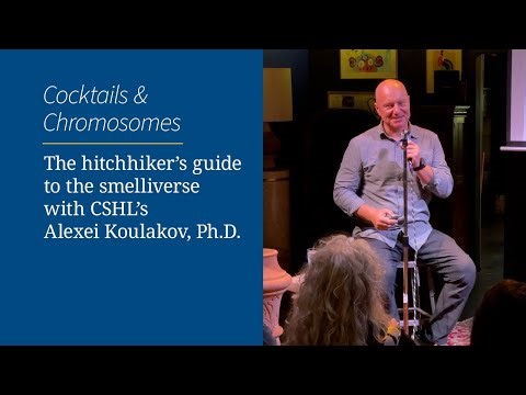 The hitchhiker's guide to the smelliverse with CSHL's Alexei Koulakov, Ph.D.