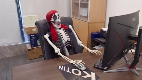 5.4ft Life-Size Pirate Skeleton with Movable Joints – Realistic Halloween Pirate Decor with Hat & Eye Patch for Indoor and Outdoor Halloween Decorations (Pirate Skeleton)