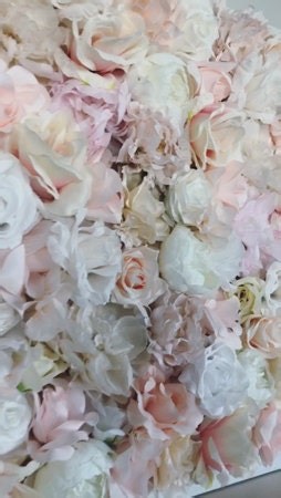 DylanJahrausMerch - Etsy