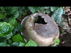 Restoration aluminum pots - Restore old aluminum pots