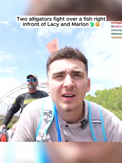 Two alligators fight over a fish right infront of Lacy and Marlon🐊😳#Lacy #viral #fyp #twitch #clip #Marlon
