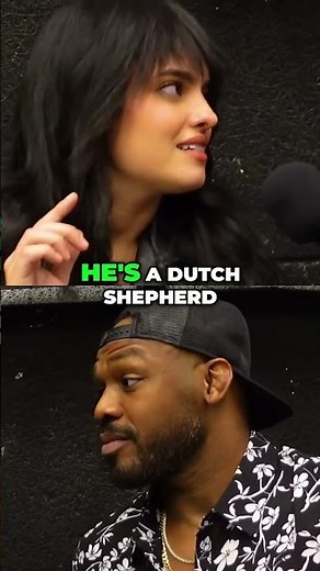 Meet Dutch: The Coolest Dutch Shepherd You've Ever Seen