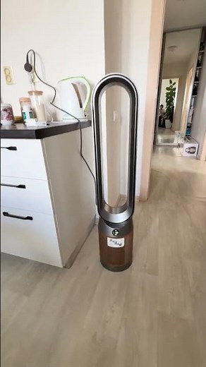 Dyson Purifier Hot+Cool Review: 3-in-1 or Just 3-in-Meh? 🤔💨