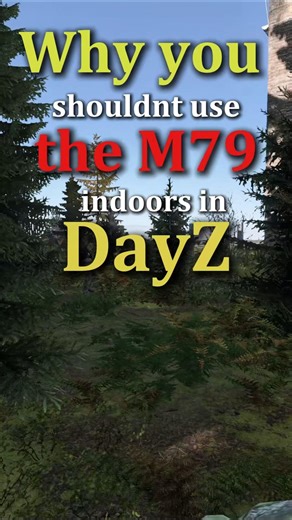 Dont use this Weapon Indoors in DayZ... ❗