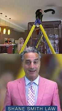 Can You Own Exotic Animals in NC? Know Your Rights