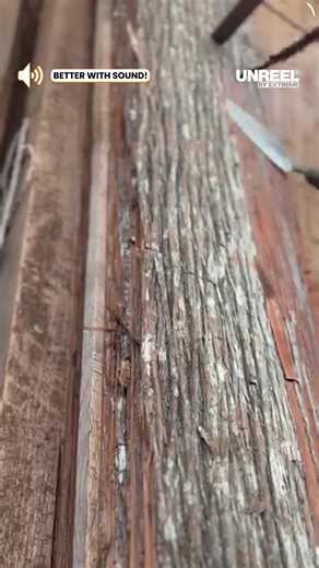 ASMR journey: Precision & serenity with the Japanese spear plane