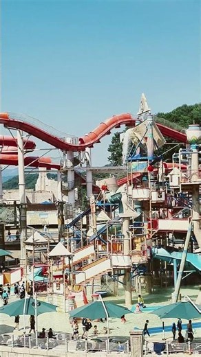 오션월드 #워터파크 #수영장 #파라오 #비발디파크