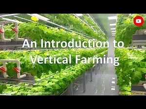 Introduction to Vertical Farming - A Sustainable Food Production Method (3 Minutes Microlearning)