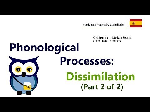 Phonological Processes: Dissimilation (Part 2 of 2)