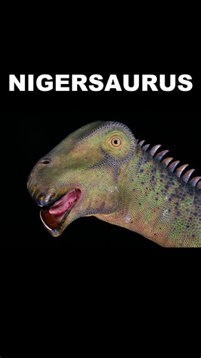 Did You Know This Dinosaur Had 500 Teeth 🦖