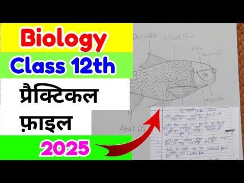 Class 12th Biology Practical File 2025 | जीव विज्ञान प्रैक्टिकल फ़ाइल | Practical Class 12 UP Board ✅
